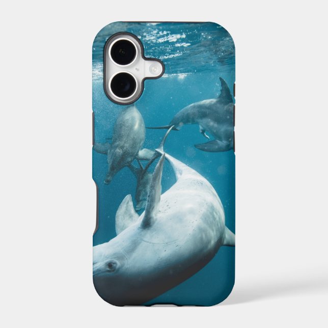 Beautiful Cute Dolphins Iphone Case (Back)