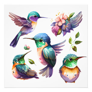 Beautiful & Cute Hummingbirds for Bird Lovers on   Photo Print