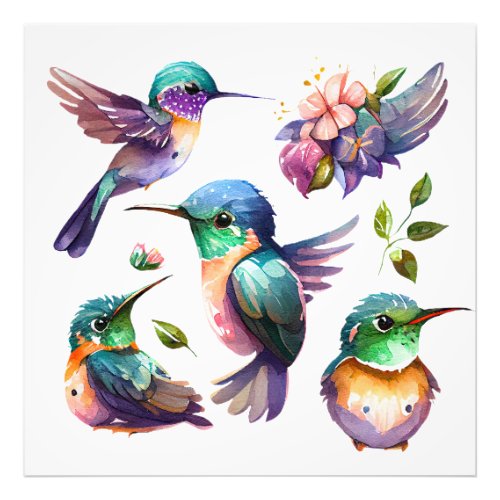 Beautiful  Cute Hummingbirds for Bird Lovers on   Photo Print