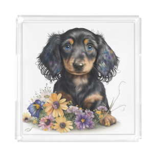 Beautiful Dachshund Puppy Graphic Print Acrylic Tray