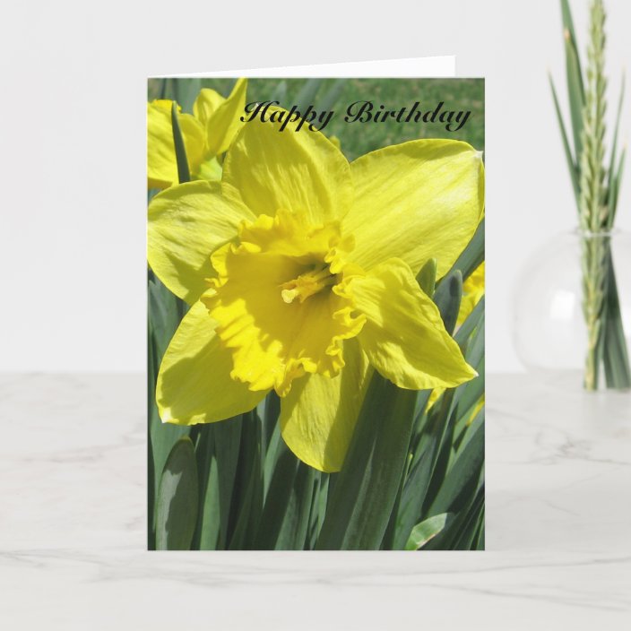 Beautiful Daffodil Birthday Card | Zazzle.com