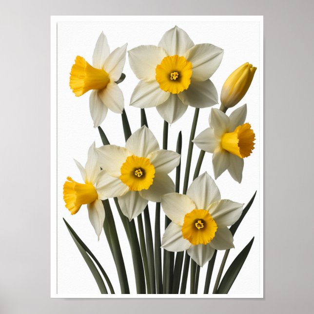 Beautiful Daffodil Flowers Poster Wall Decor (Front)
