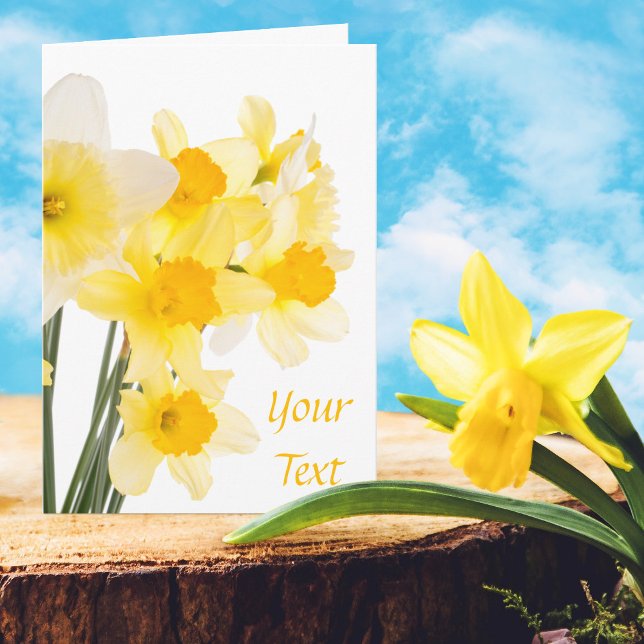 Beautiful Daffodils Greeting Card (Creator Uploaded)