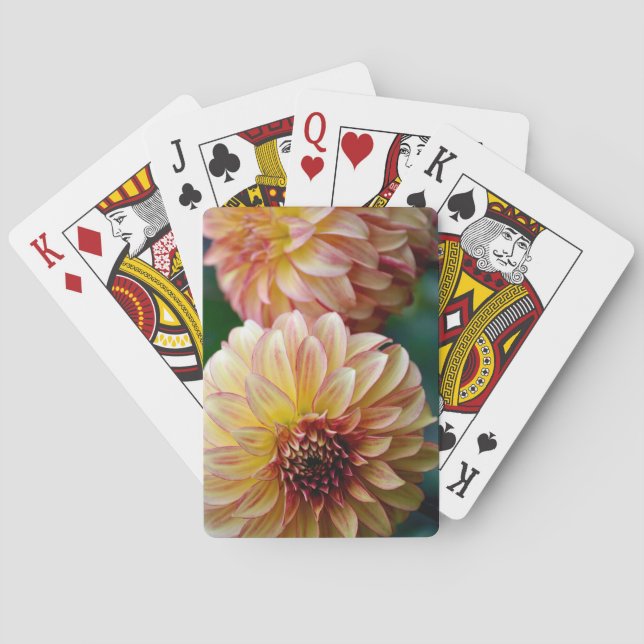 Beautiful dahlia flower print poker cards (Back)