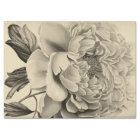 Beautiful Dahlia Flower