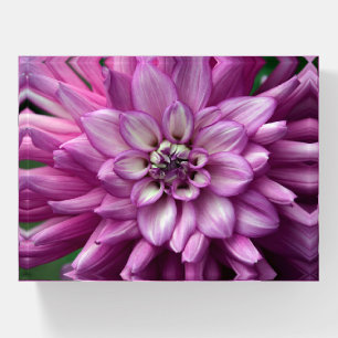 Beautiful dahlia   paperweight