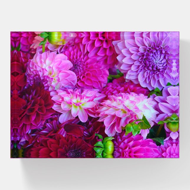 Beautiful dahlias paperweight (Front)