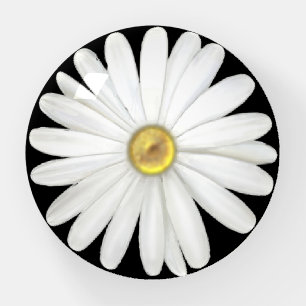 Beautiful Daisy Flower on Black Paperweight