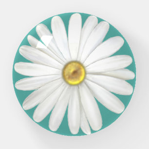 Beautiful Daisy Flower on Teal Turquoise Paperweight