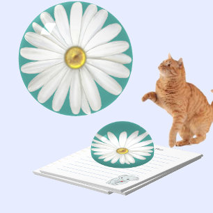 Beautiful Daisy Flower on Teal Turquoise Paperweight