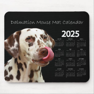 Beautiful Dalmatian Dog 2025 Calendar Mouse Pad