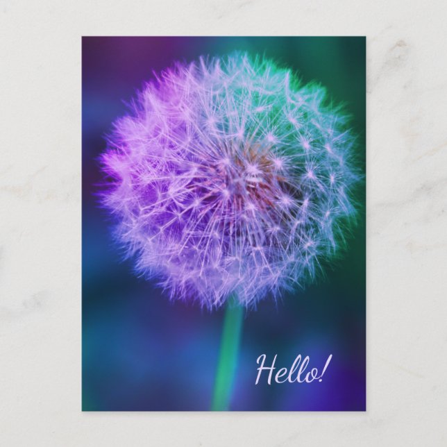 Beautiful Dandelion on Blue Background  Postcard (Front)