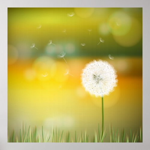 Beautiful dandelion spring illustration poster