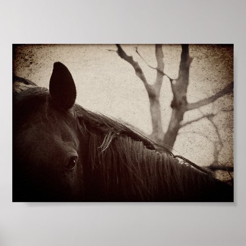 Beautiful Dark Horse Brown Poster