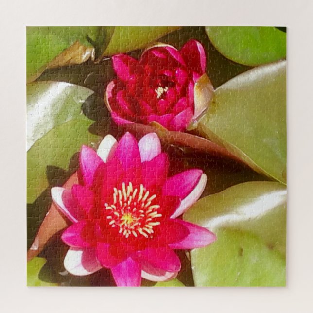 Beautiful Dark Pink Water Lily, Lotus Blossom Jigsaw Puzzle (Vertical)