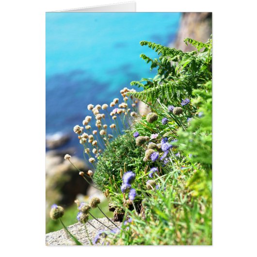 Beautiful Day Cards (Front)