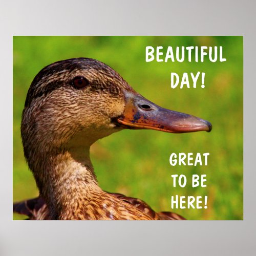 Beautiful Day Inspirational Duck Poster