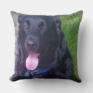 Beautiful Day Throw Pillow