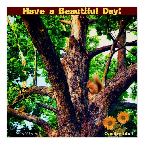 Beautiful Day __ Tree _ Country _ Life Poster