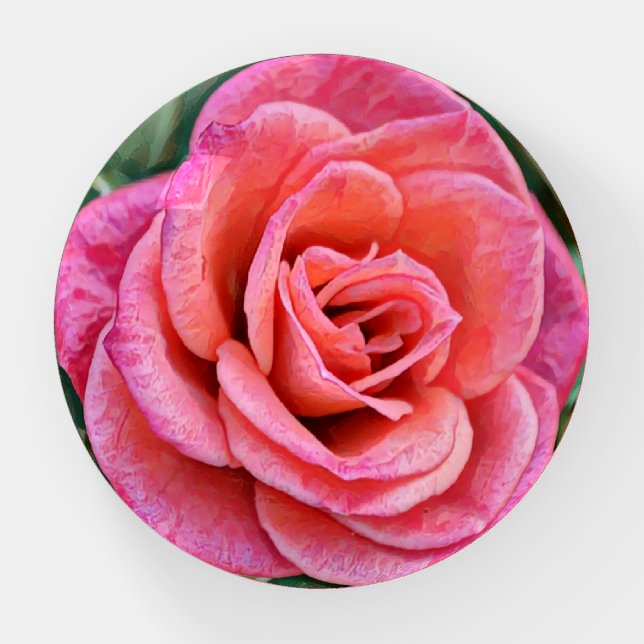 Beautiful Deep Pink Rose Glass Paperweight (Front)