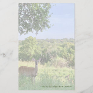 Beautiful Deer Wildlife Photography Custom Nature Stationery