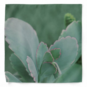Beautiful Desert Plant Art Photograph Bandana