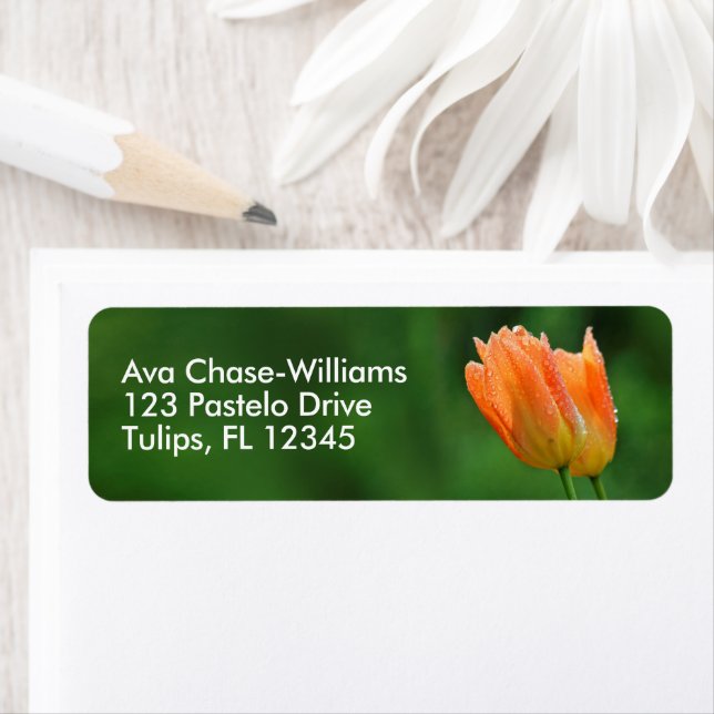 Beautiful Dew-Kissed Floral Pastel Orange Tulips Label (Insitu)
