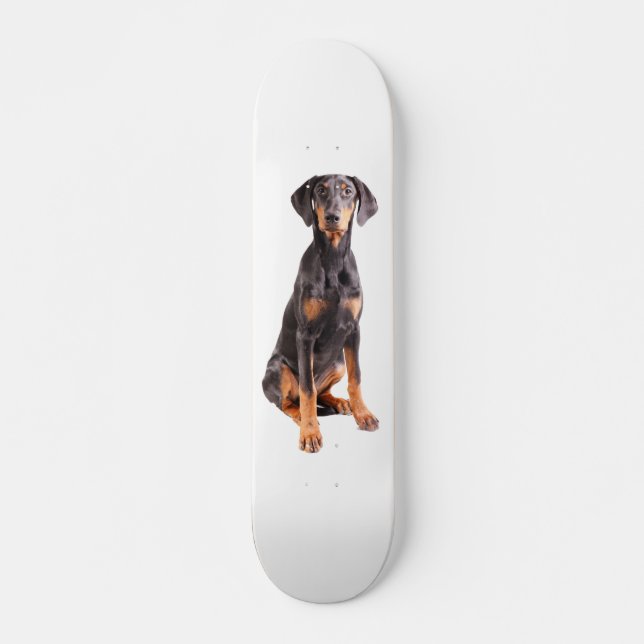 beautiful doberman pinscher skateboard deck (Front)