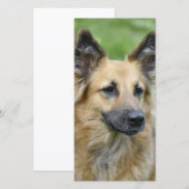 Beautiful Dog (Front/Back)