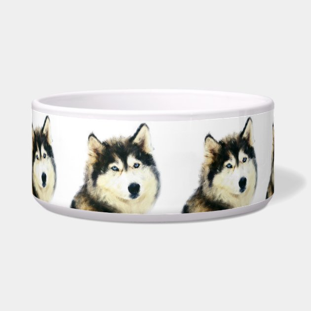 beautiful dog bowls