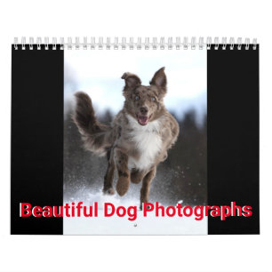 Beautiful Dog Photos Calendar