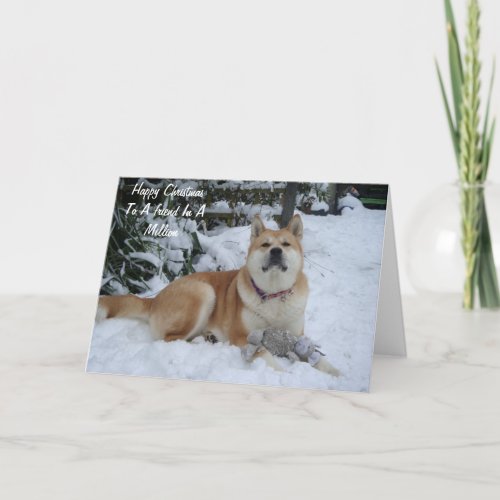 beautiful dog resting in the snow at christmas holiday card