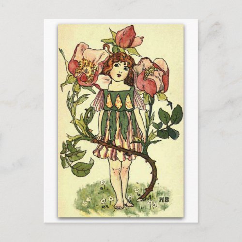 Beautiful Dog Rose by NELLIE BENSON Postcard