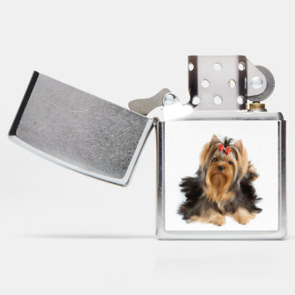 Beautiful dog zippo lighter