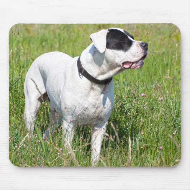 Beautiful Dogo Argentino Mouse Pad (Front)