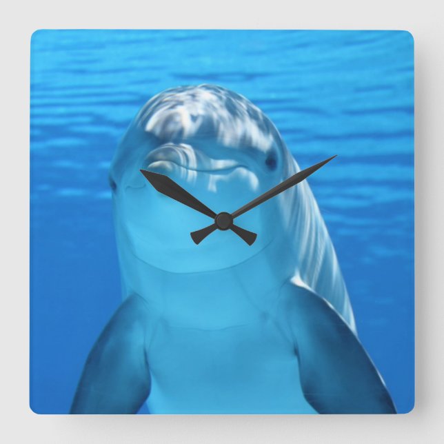 Beautiful dolphin square wall clock (Front)