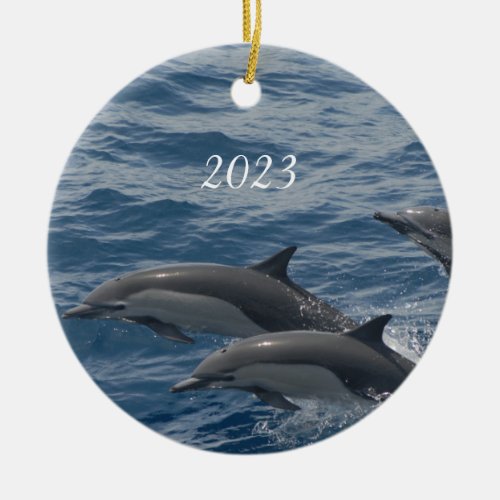 Beautiful Dolphins Ceramic Ornament