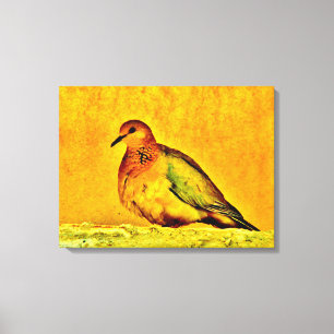 Beautiful Dove Canvas Print