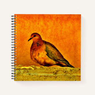 Beautiful Dove Notebook