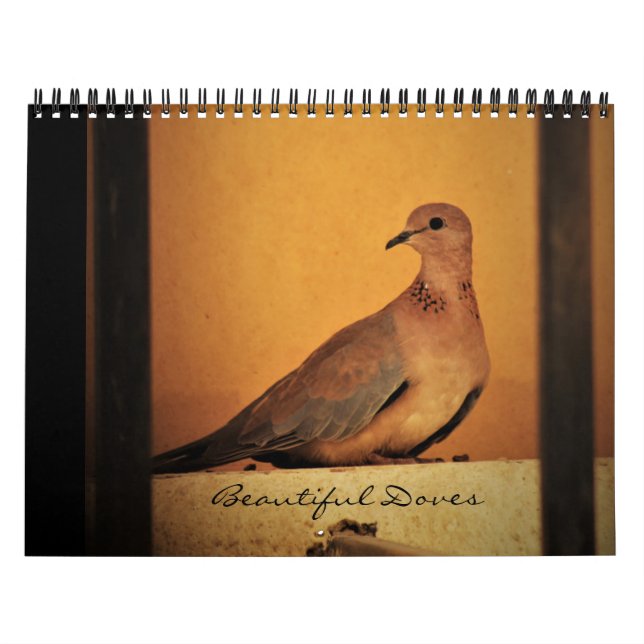 Beautiful Doves Calendar (Cover)