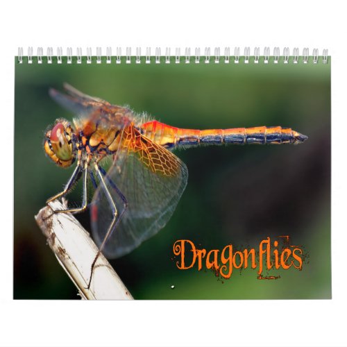 Beautiful Dragonflies Calendar