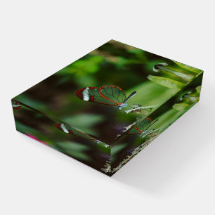 Beautiful Dragonfly Paperweight