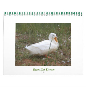 Beautiful Dream Calendar