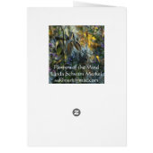 Beautiful Dreamer (Back)