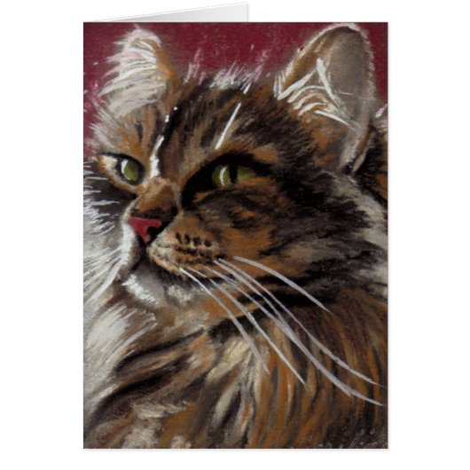 Beautiful Dreamer - Maine Coon Cat Card (Front)