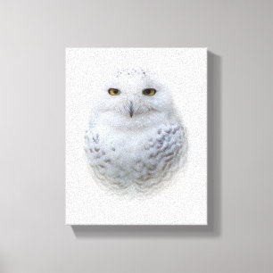 Beautiful, Dreamy and Serene Snowy Owl Canvas Print