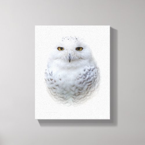 Beautiful Dreamy and Serene Snowy Owl Canvas Print
