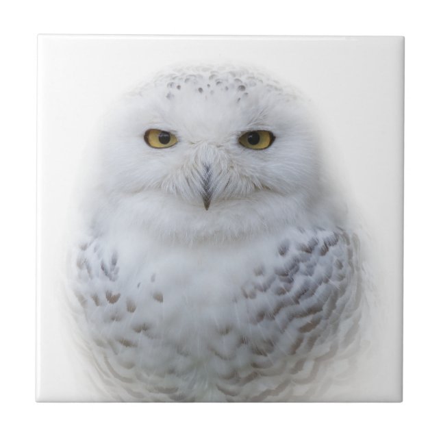 Beautiful, Dreamy and Serene Snowy Owl Ceramic Tile (Front)