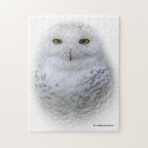 Beautiful Dreamy and Serene Snowy Owl Jigsaw Puzzle