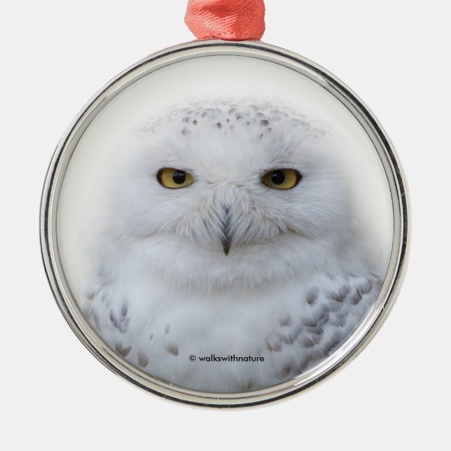 Beautiful, Dreamy and Serene Snowy Owl Metal Ornament (Front)
